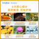 Japanese pillbox PLUS black gold 5 times turmeric anti-hangover pills 20 capsules to sober up and prevent drunkenness milk thistle comprehensive body care