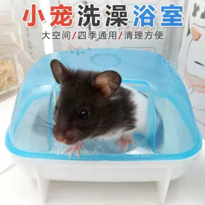 两用花枝鼠 新人首单立减十元 22年4月 淘宝海外