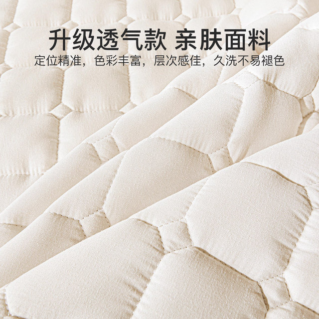 Jialiya Class A mattress soft cushion for home single student dormitory thin non-slip mattress Simmons protective pad