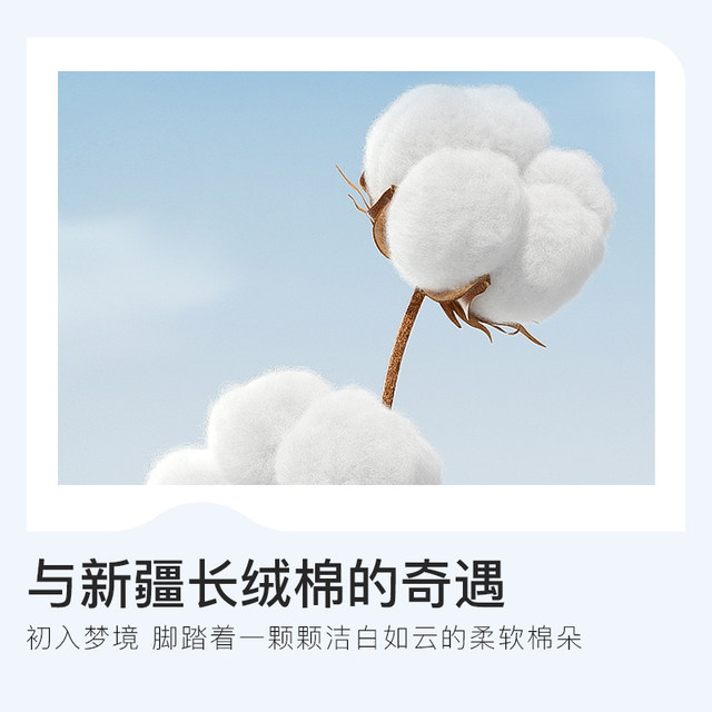 Jie Liya Xinjiang cotton quilt winter quilt pure cotton thickened warm pure cotton quilt single spring and autumn cotton quilt core