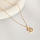 The new 2025 clavicle chain simple temperament trend autumn and winter accessories