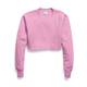 CHAMPION American version of champion sweatshirt women's short style autumn and winter new loose sports top pullover trendy collection
