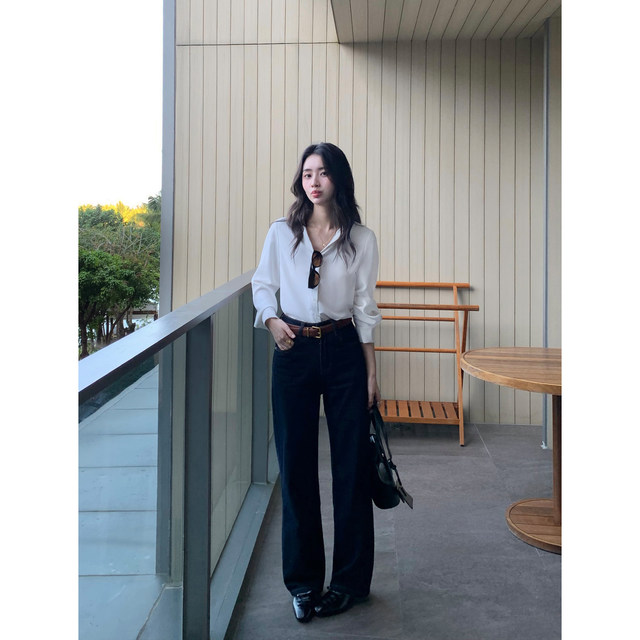 Pusumede Lusi same style! V-neck long-sleeved shirt for women in spring and autumn loose and simple design niche temperament top