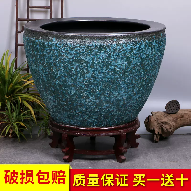 睡莲钵 新人首单立减十元 21年12月 淘宝海外