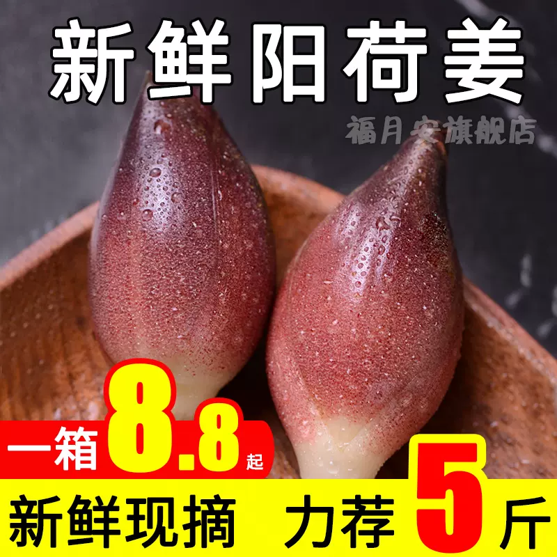 洋荷苗 新人首单立减十元 21年10月 淘宝海外