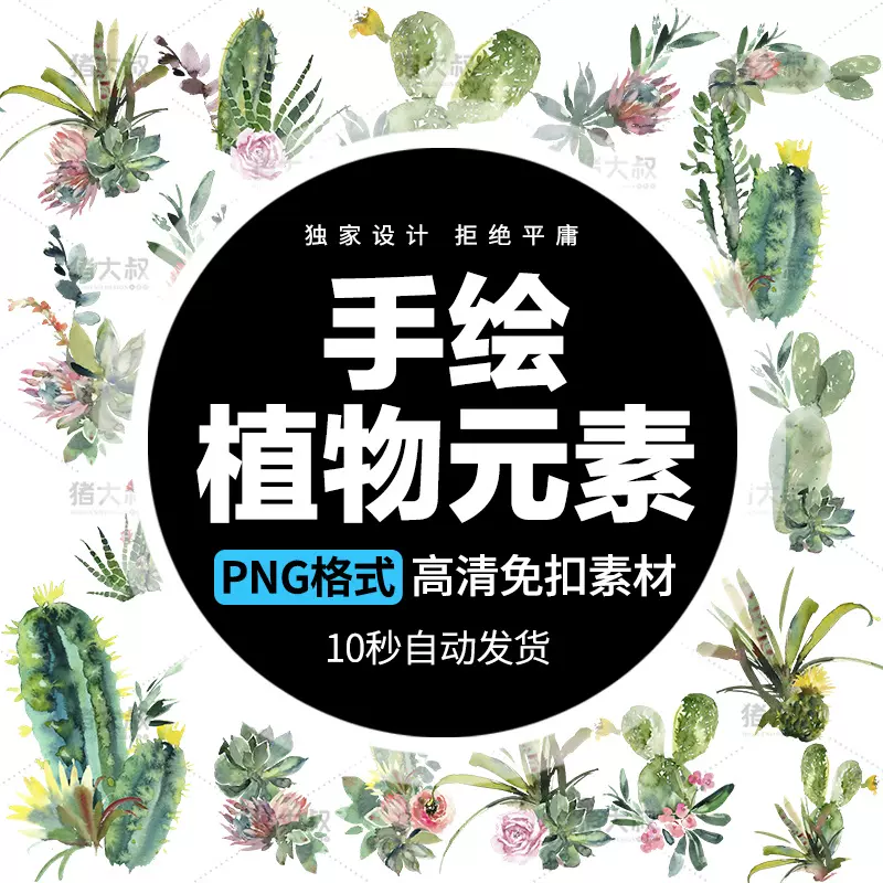 手绘插画仙人掌植物花卉装饰画芯素材小清新森系png免抠