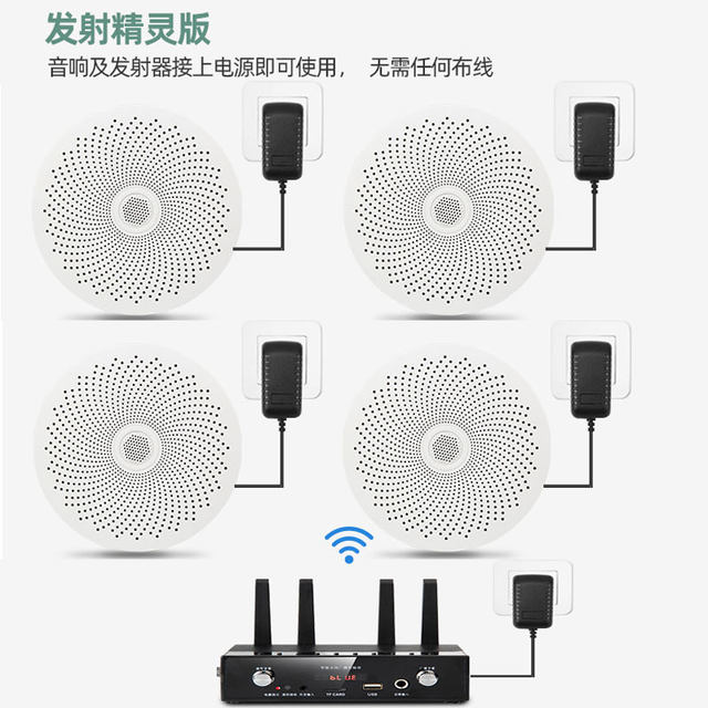 Newman D25 wireless surface-mounted hoisting ball audio supermarket store ceiling set shopping mall restaurant background wall mount speaker