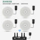 Newman D25 wireless surface-mounted hoisting ball audio supermarket store ceiling set shopping mall restaurant background wall mount speaker