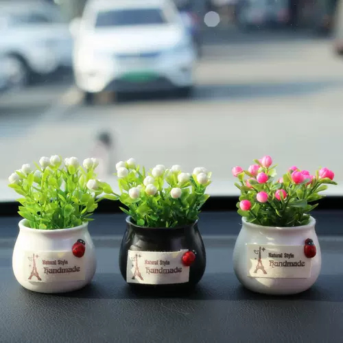 星辰花盆栽 新人首单立减十元 22年2月 淘宝海外