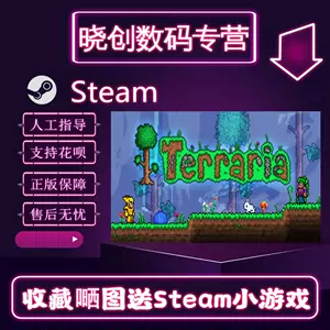 Steam泰拉瑞亚激活码 新人首单立减十元 22年3月 淘宝海外