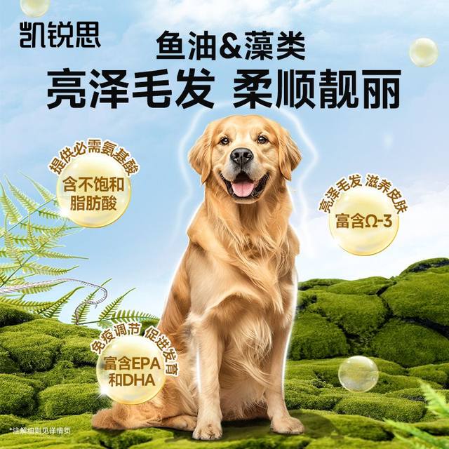 Kairuis dog food is better than Bear Tedipi Beauty Bian Shiba Inu Golden Ratabulu Paradon puppies, 40jin [Jin is equal to 0.5 kg]
