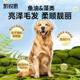 Kairuis dog food is better than Bear Tedipi Beauty Bian Shiba Inu Golden Ratabulu Paradon puppies, 40jin [Jin is equal to 0.5 kg]
