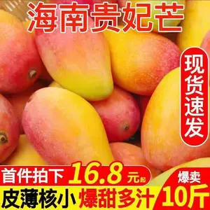 贵妃芒树苗 新人首单立减十元 22年4月 淘宝海外