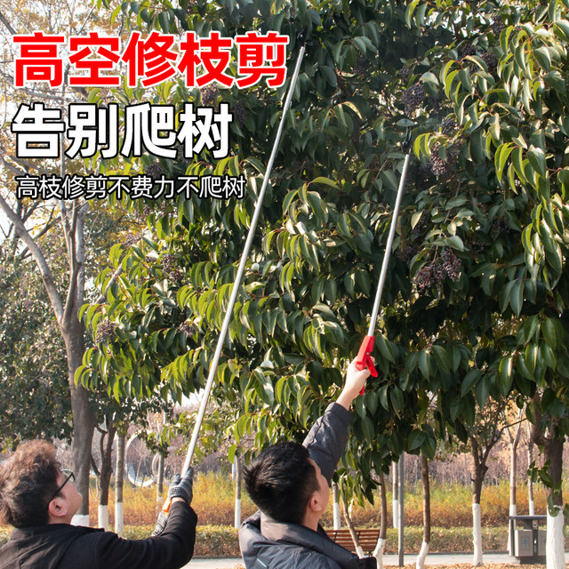 Stainless steel branches cut high -altitude branches, cutting ...