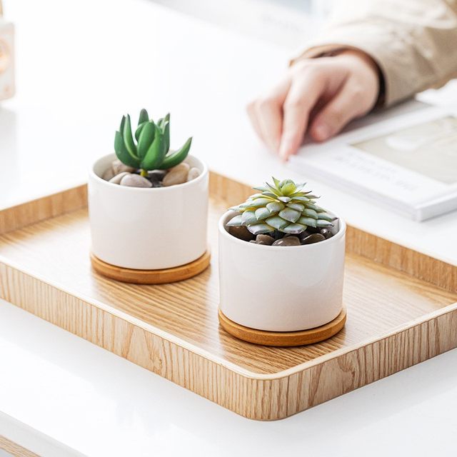 Ceramics Polynut Basin Creative Interior White Pot Modern Home Gardening Cross -border White Porcelain Basin 2024