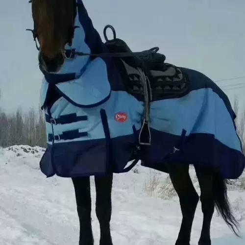 棉矮马 新人首单立减十元 22年2月 淘宝海外