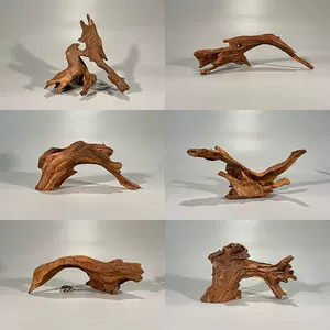 迷你鱼缸枯木造景 新人首单立减十元 22年9月 淘宝海外