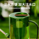 Long -mouth watering kettle, watering flower Household large -capacity leaching flower pot gardening pointed mouth sprinkler sprinkler water pot watering artifact