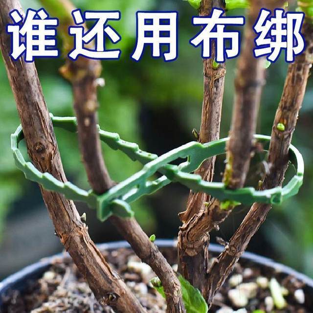 Adjustable fish bone tie -band bundle line multi -purpose garden binding tree vine plant fixed gardening can be removed