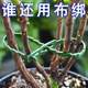 Adjustable fish bone tie -band bundle line multi -purpose garden binding tree vine plant fixed gardening can be removed
