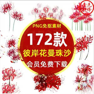 彼岸花素材 新人首单立减十元 22年8月 淘宝海外