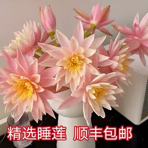 Jxluet8n8hvwm Jxluet8n8hvwm