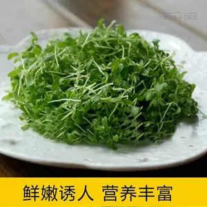 苜蓿芽苗菜种子 Top 70件苜蓿芽苗菜种子 22年11月更新 Taobao