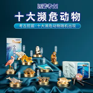 売れ筋がひ新作！ 中国皇帝玉璽発掘セット(始皇帝の玉璽有