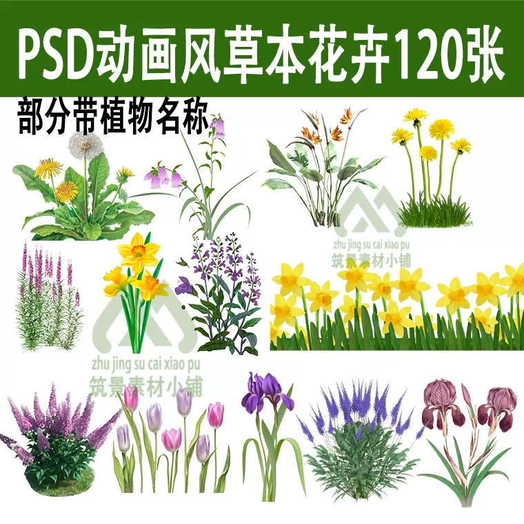 Ps花镜花卉植物花境草本植物psd千屈菜蜀葵郁金香薰衣草鸢尾