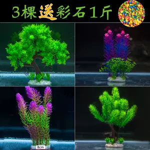 柔水草花 新人首单立减十元 22年4月 淘宝海外