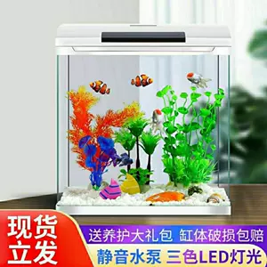 角裸缸 新人首单立减十元 22年3月 淘宝海外