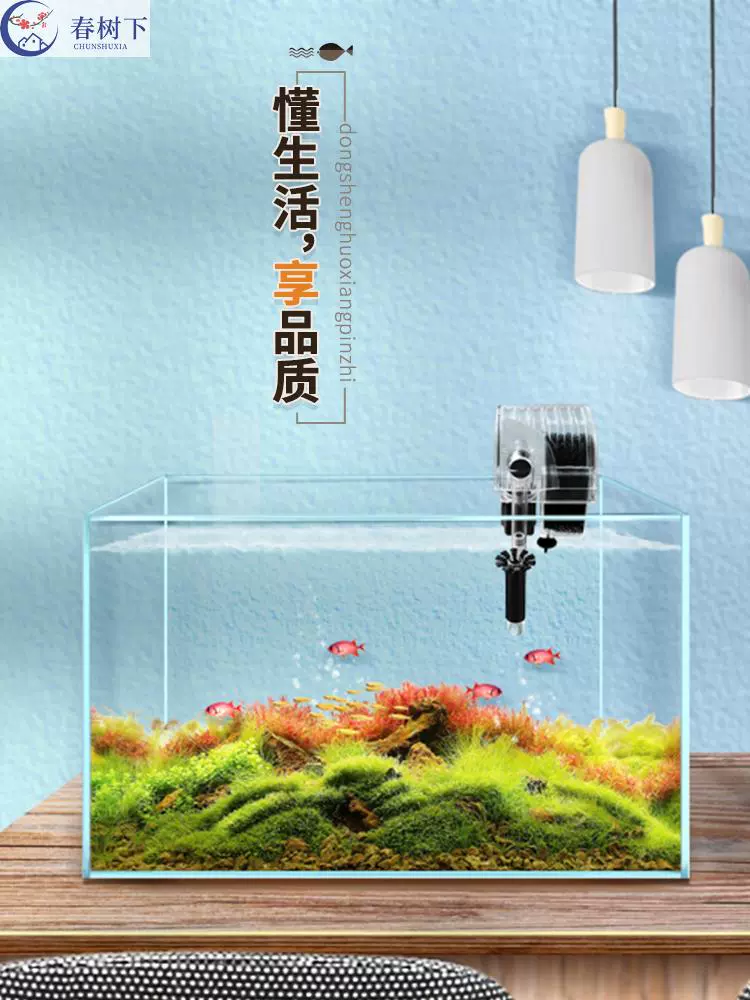 草一体缸裸正方形30cm小型桌面超白鱼缸创意上全套客厅50cm40cm