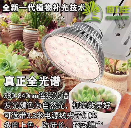 Uv灯花草 新人首单立减十元 21年10月 淘宝海外