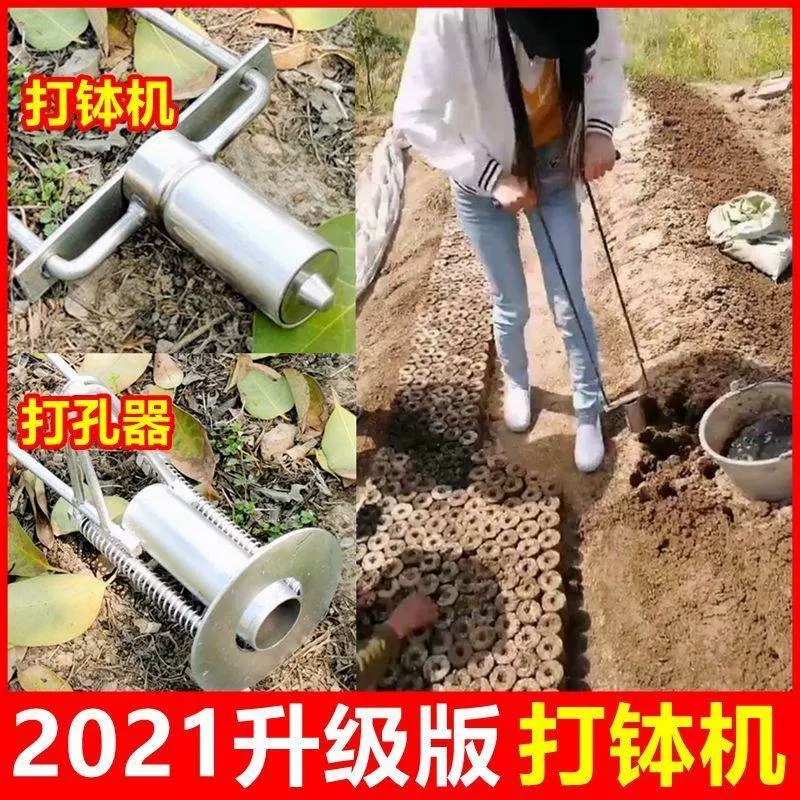 棉花苗包邮 新人首单立减十元 21年12月 淘宝海外