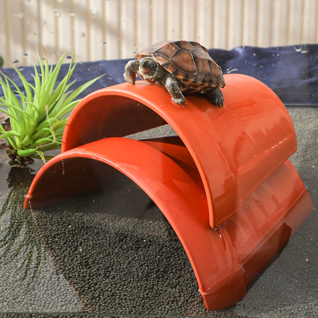 Shelter house turtle tile cave yellow edge turtle tortoise sun terrace ...