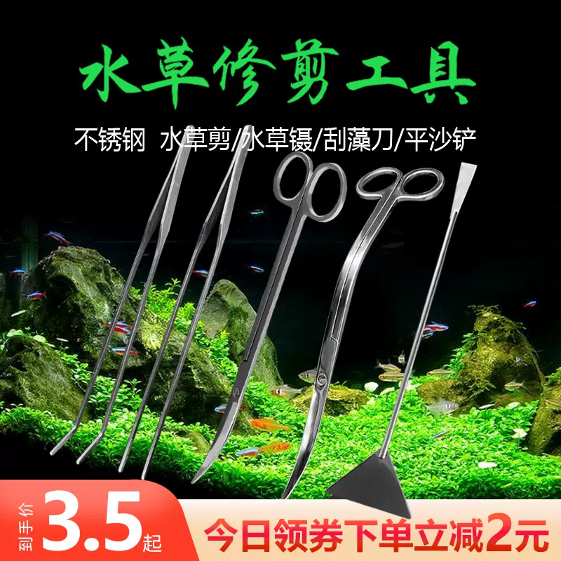 珊瑚草种植 新人首单立减十元 21年11月 淘宝海外