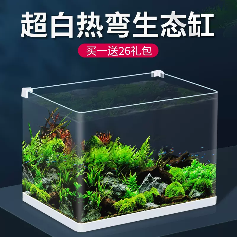 热弯草金鱼 新人首单立减十元 22年1月 淘宝海外