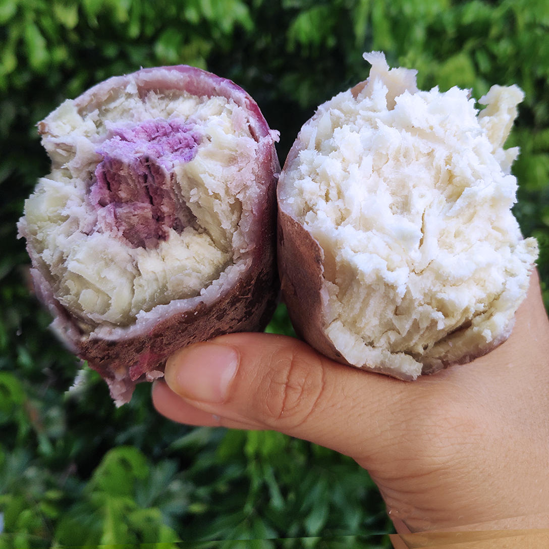 新鲜网红冰淇淋一点红红薯高州爆皮王番薯混搭装板栗白心干面地瓜