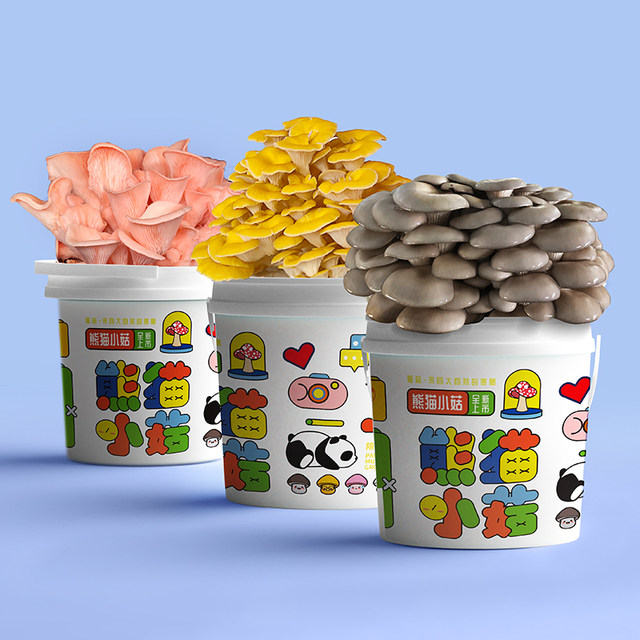 Mushroom potted planting bucket fun balcony children DIY oyster mushroom cultivation edible fungus package box stick family