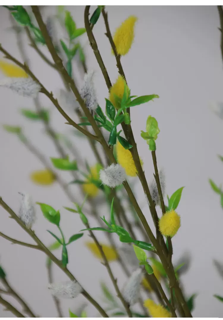 新年柳枝 新人首单立减十元 21年11月 淘宝海外