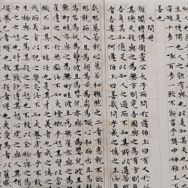 Wen Zhengming's small regular script Nanhua Sutra and Zhuangzi Xiaoyaoyou's retro calligraphy, calligraphy and painting, authentic giclee, antique framed decorative painting