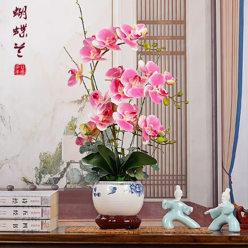 胡蝶兰 新人首单立减十元 21年11月 淘宝海外 胡蝶兰 新人首单立减十元 21年11月 淘宝海外