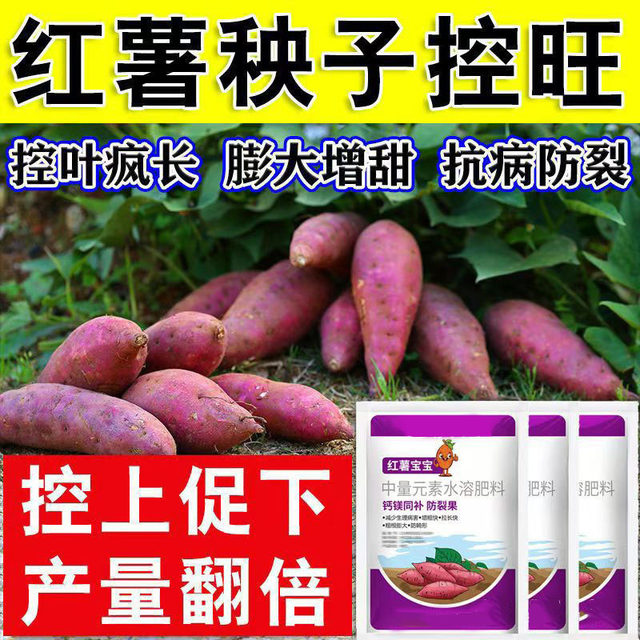 New type of horticultural sweet potato fertilizer, special expansion and sweetener, strong root and seedling prevention, fruit cracking prevention, disease prevention and yield increase artifact