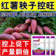 New type of horticultural sweet potato fertilizer, special expansion and sweetener, strong root and seedling prevention, fruit cracking prevention, disease prevention and yield increase artifact