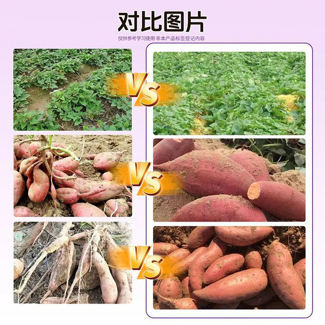 New type of horticultural sweet potato fertilizer, special expansion and sweetener, strong root and seedling prevention, fruit cracking prevention, disease prevention and yield increase artifact