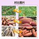 New type of horticultural sweet potato fertilizer, special expansion and sweetener, strong root and seedling prevention, fruit cracking prevention, disease prevention and yield increase artifact