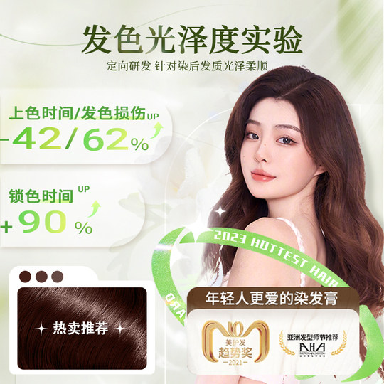 Bleaching-free hazelnut gray brown hair dye 2024 popular color hair dye at home bubble natural plant pure women