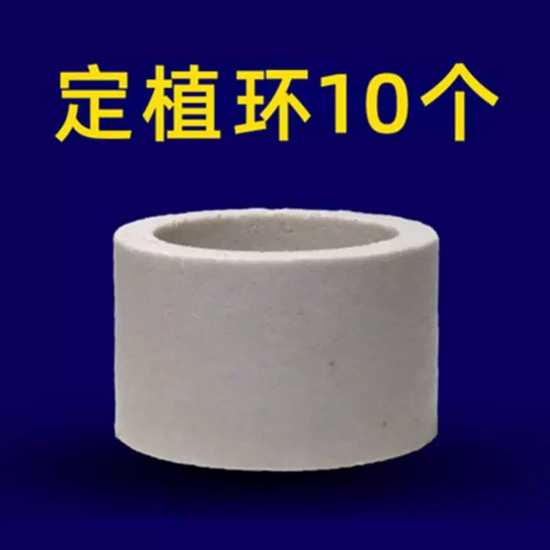 草缸水草固定器 新人首单立减十元 21年12月 淘宝海外