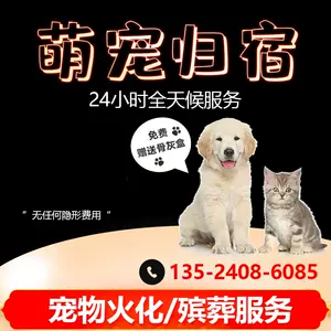 宠物火化炉 新人首单立减十元 22年3月 淘宝海外