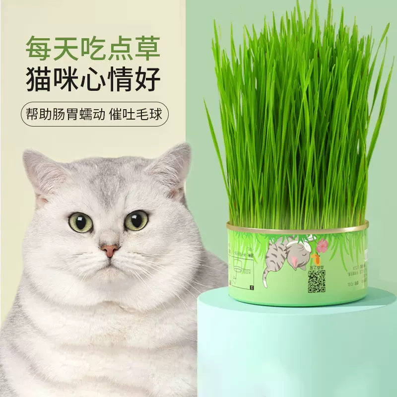 猫草有机无土栽培盆栽猫咪幼猫即食去毛球已种